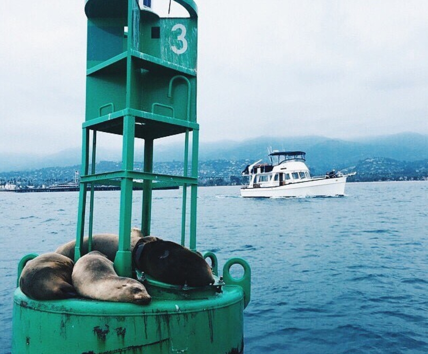 The Great Outdoors: Fun Nature Based Activities in Santa Barbara