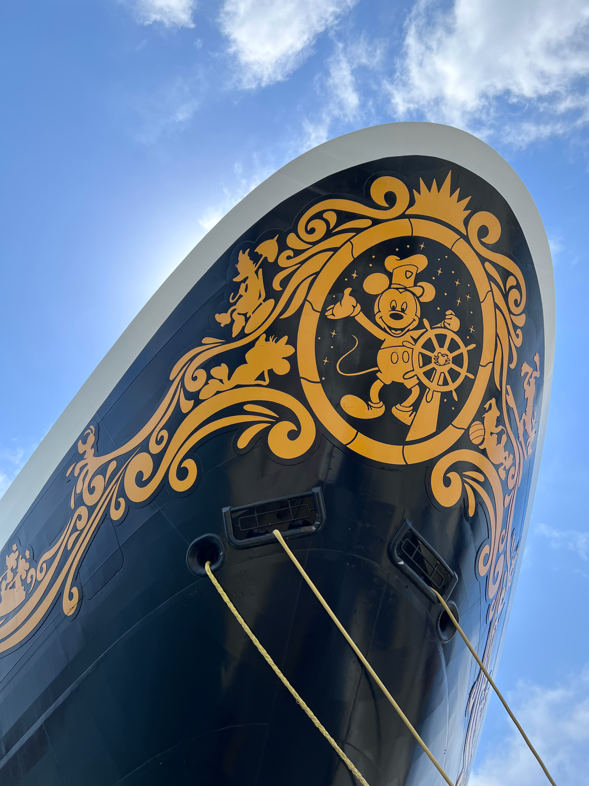 Covid Sailing on the Disney Wonder