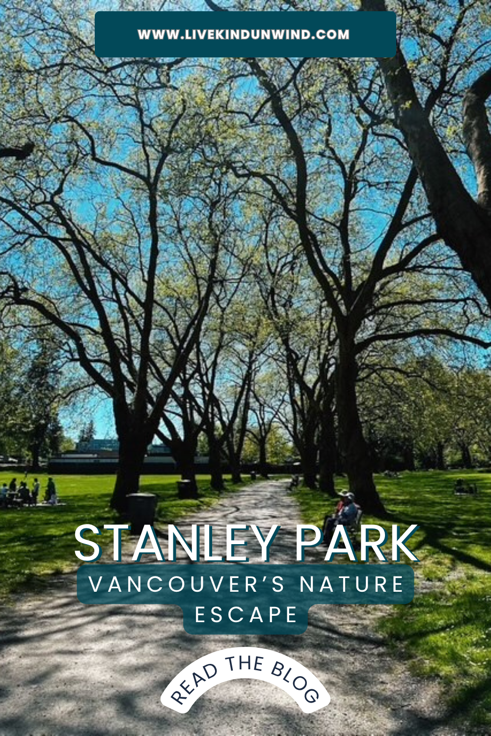Spend the Day at Stanley Park: Vancouver’s Nature Escape You Can’t Miss